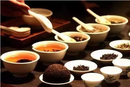 茶韵养生 解锁普洱茶的保健功效与养生服务之道